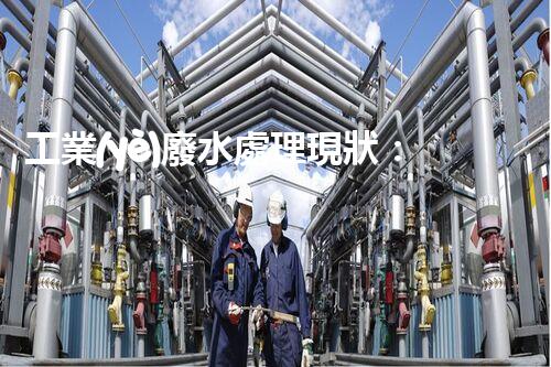 工業(yè)廢水處理現狀：以后之路在何方？